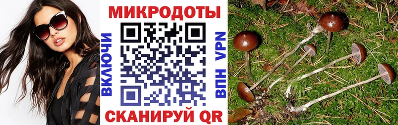 Псилоцибиновые грибы ЛСД  закладка  Десногорск 